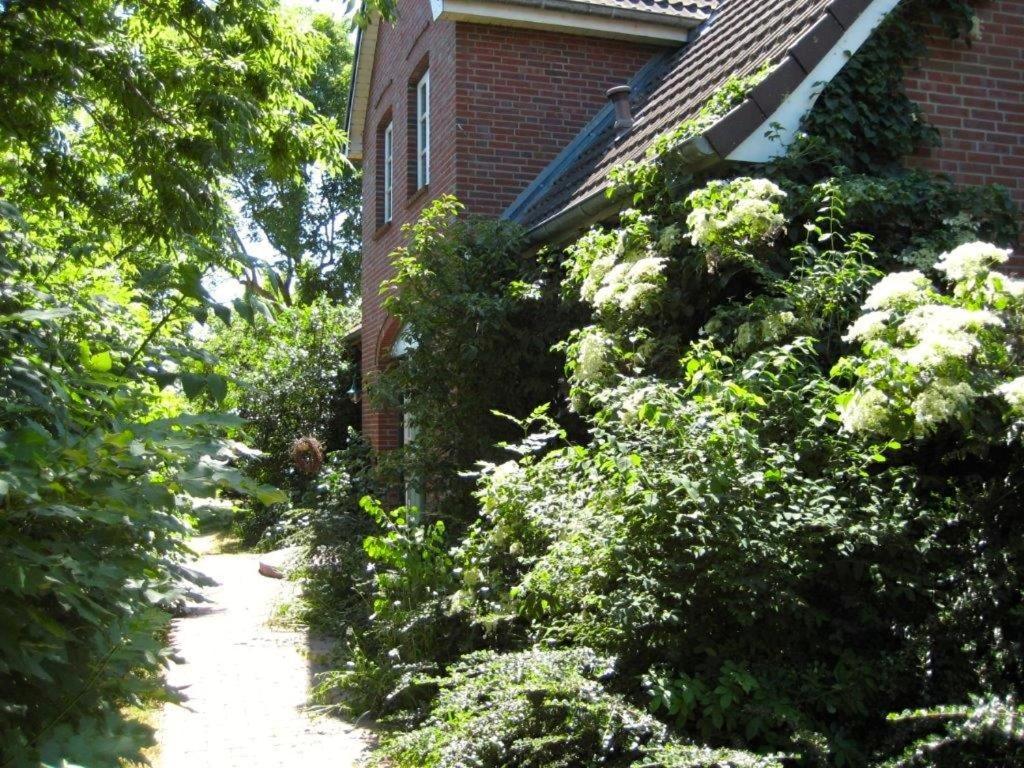 Ferienhaus Marsch Auf Foehr Borgsum ภายนอก รูปภาพ